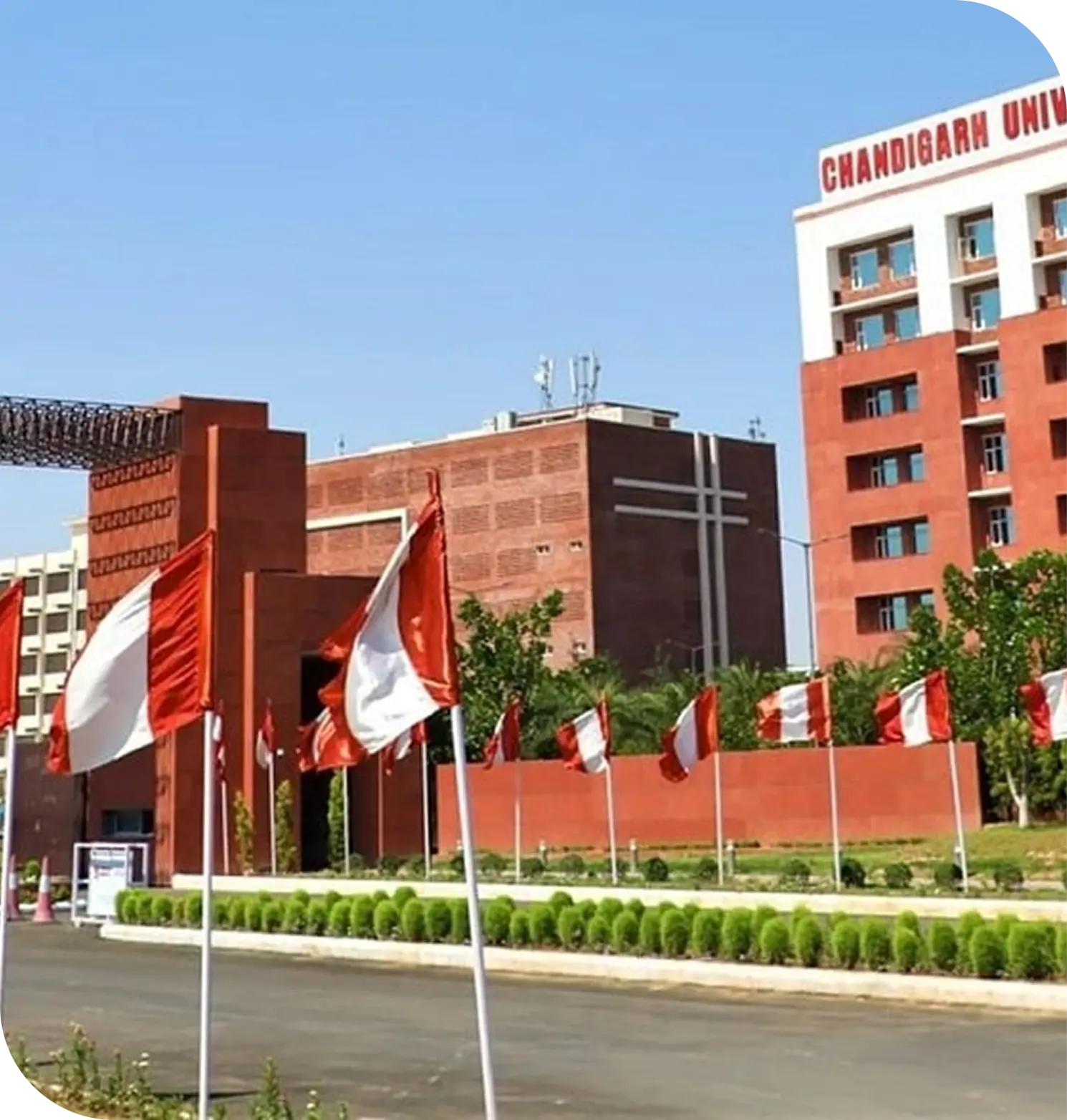 About Chandigarh University Online